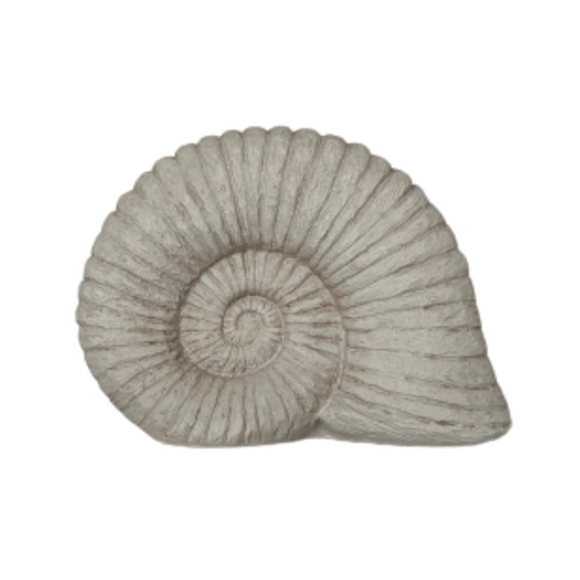 Fossil Shell Sculpture