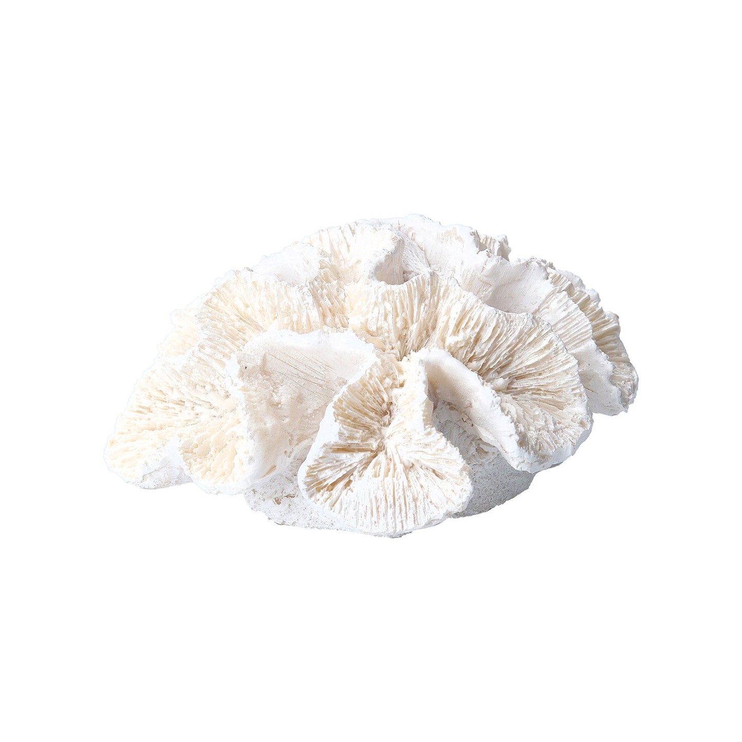 Small Coral Sculpture