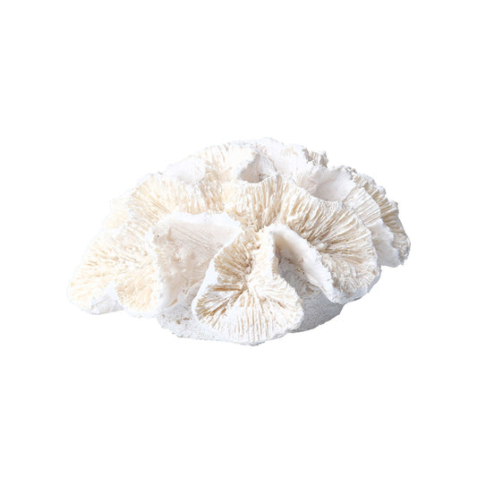 Small Coral Sculpture